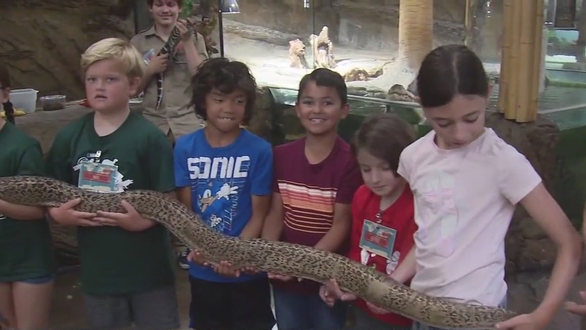Kids have fun at Reptile Zoo